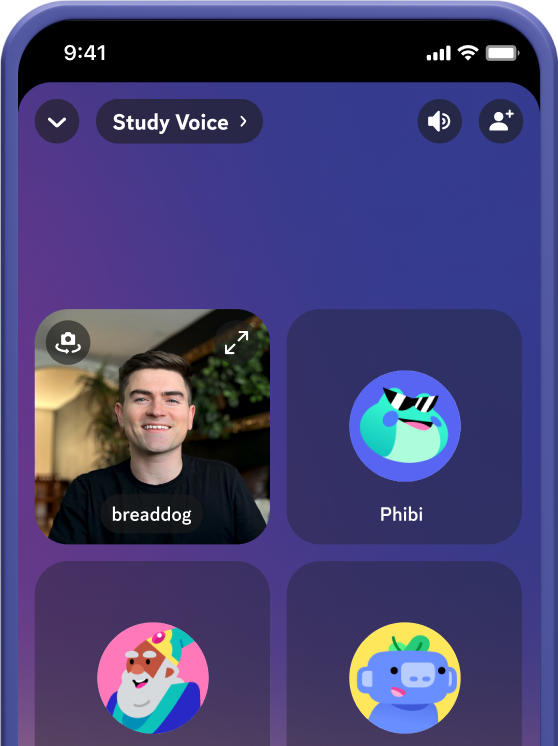 New Voice & Video UI